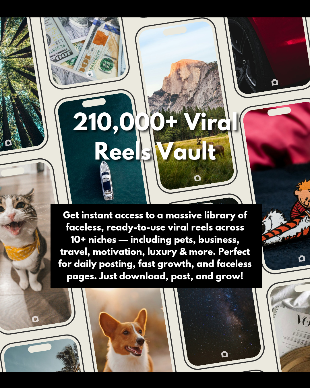 210K Viral Reels Bundle — For Creators, Coaches, Entrepreneurs & Agencies — Go Viral in Every Niche